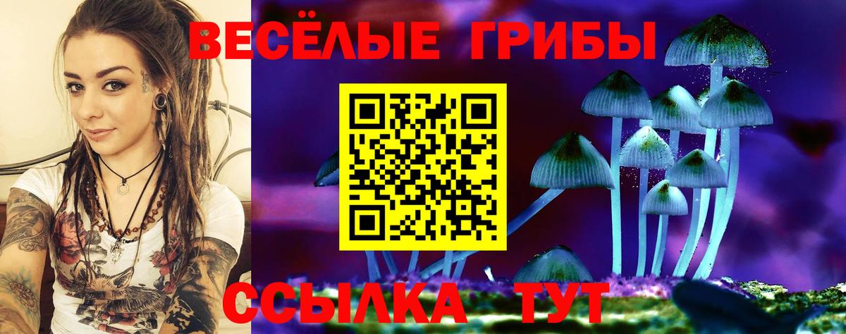 Зеленодольск  Галлюциногенные грибы ЛСД  Вход с VPN  Псилоцибиновые грибы Cubensis 